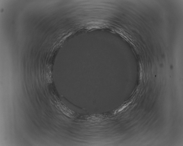 X0000078290868200611031229