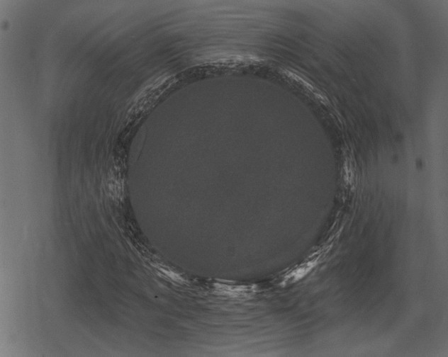 X0000078290869200611031229