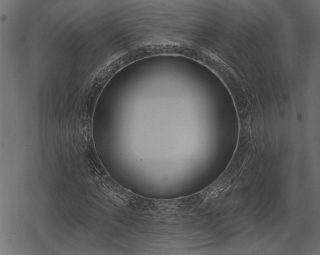 X0000078290870200611031229