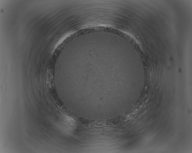 X0000078290871200611031229