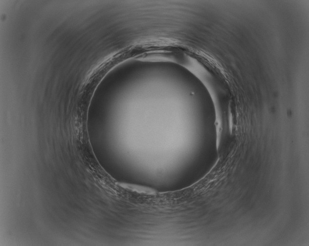 X0000078290872200611031229