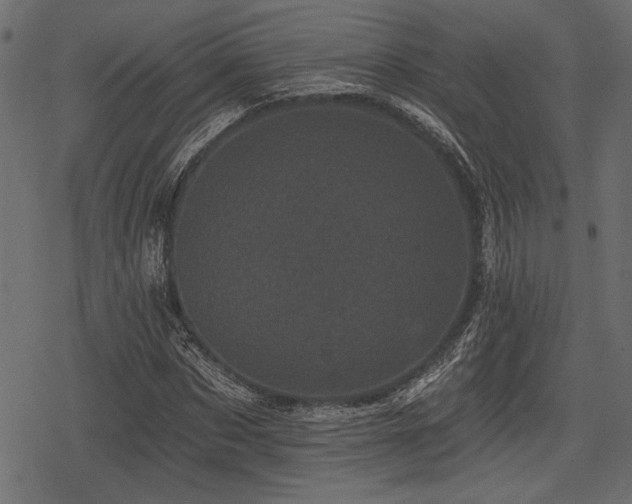 X0000078290873200611031229