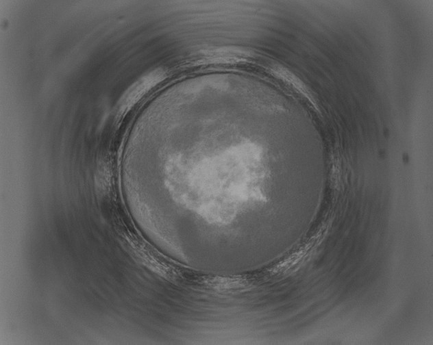 X0000078290874200611031229