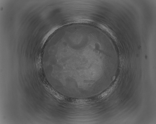 X0000078290875200611031229