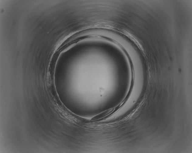 X0000078290876200611031229