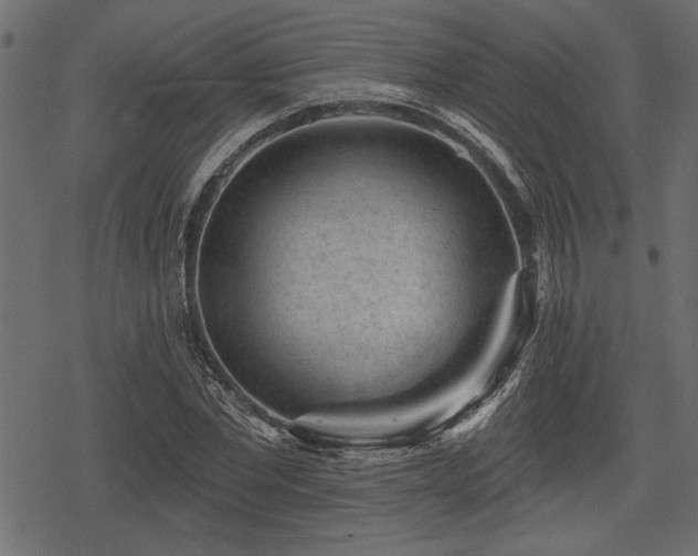 X0000078290877200611031229