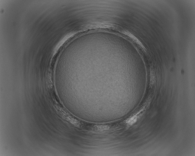 X0000078290878200611031229