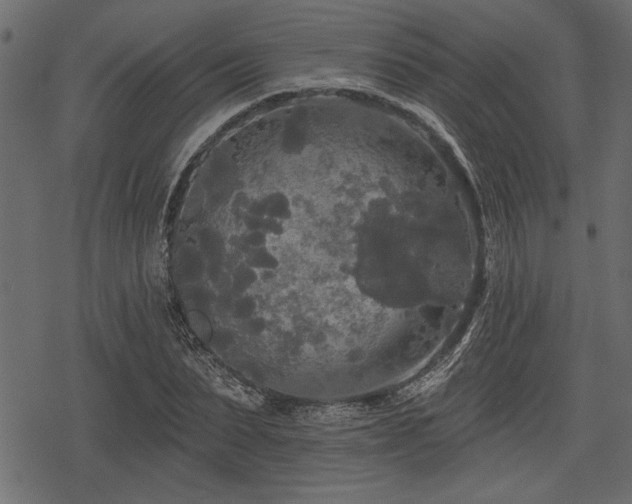 X0000078290879200611031229