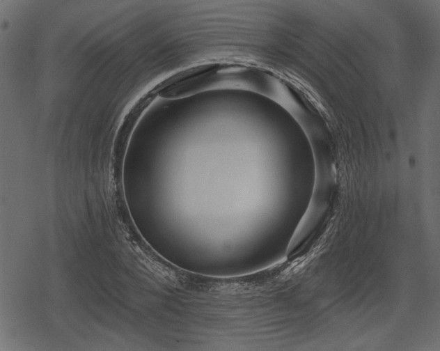 X0000078290880200611031229