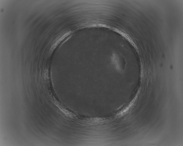 X0000078290881200611031229