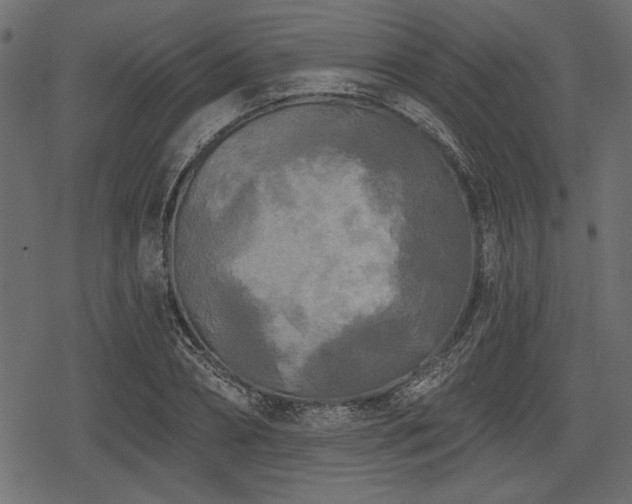 X0000078290882200611031229