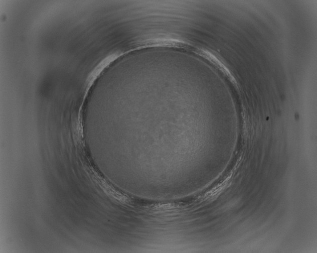 X0000078290883200611031229