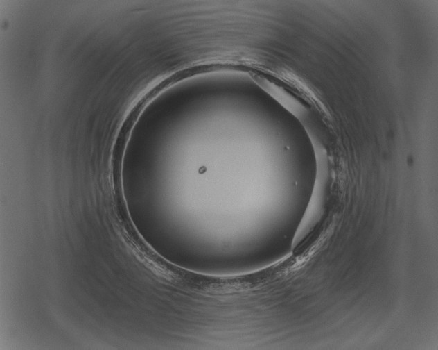 X0000078290884200611031229