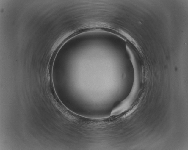 X0000078290885200611031229