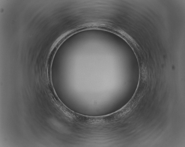 X0000078290886200611031229