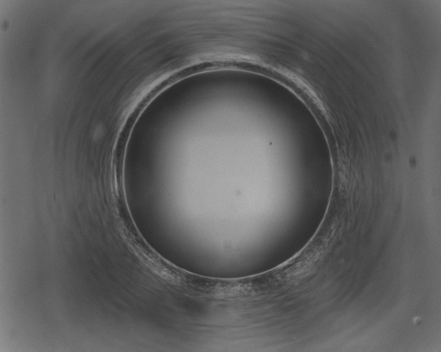 X0000078290887200611031229