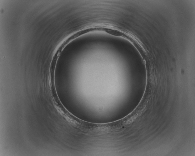 X0000078290888200611031229