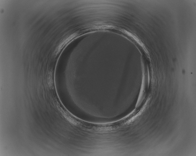 X0000078290889200611031229