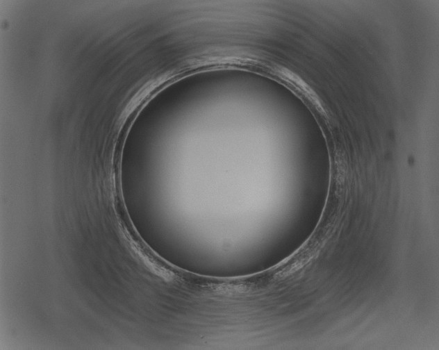 X0000078290890200611031229