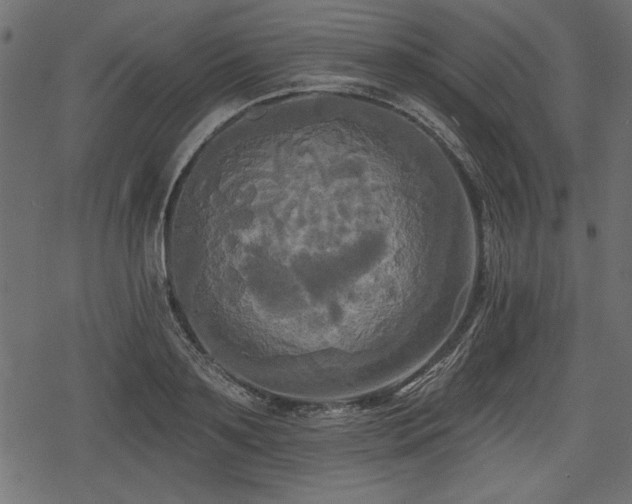 X0000078290891200611031229