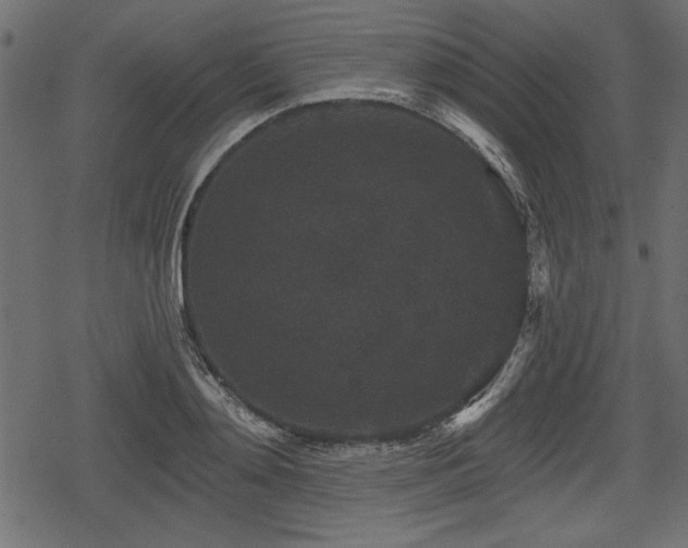 X0000078290892200611031229