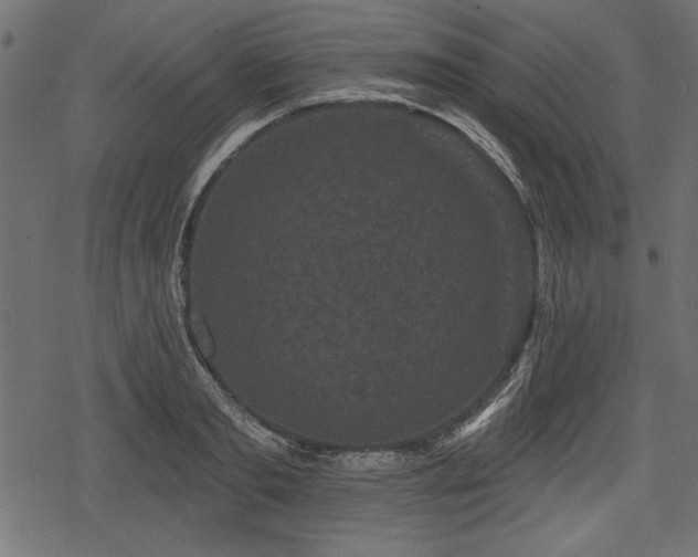 X0000078290893200611031229