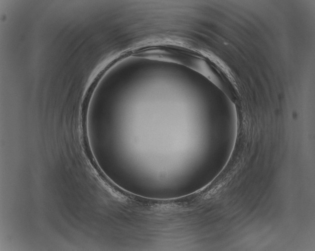 X0000078290894200611031229