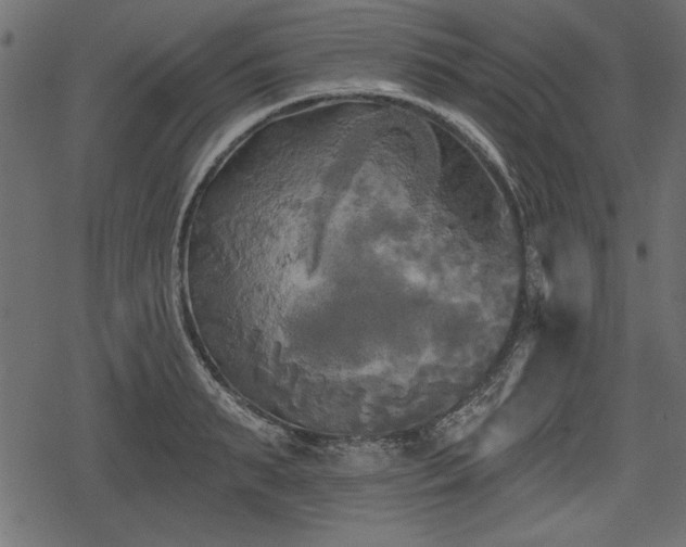 X0000078290895200611031229