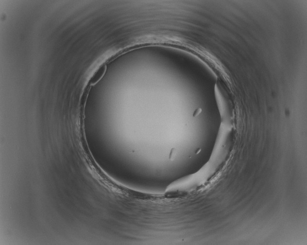 X0000078290896200611031229