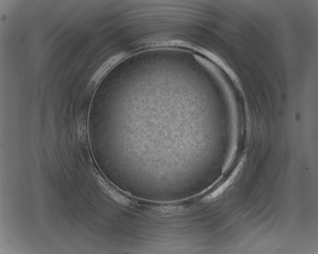 X0000078290897200611031229