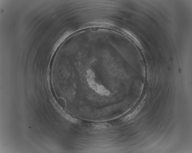 X0000078290899200611031228