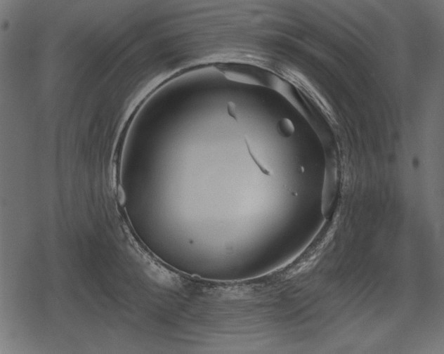 X0000078290900200611031228