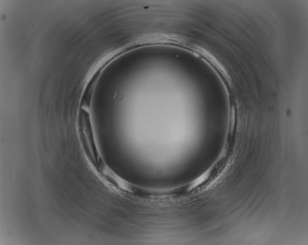 X0000078290901200611031228