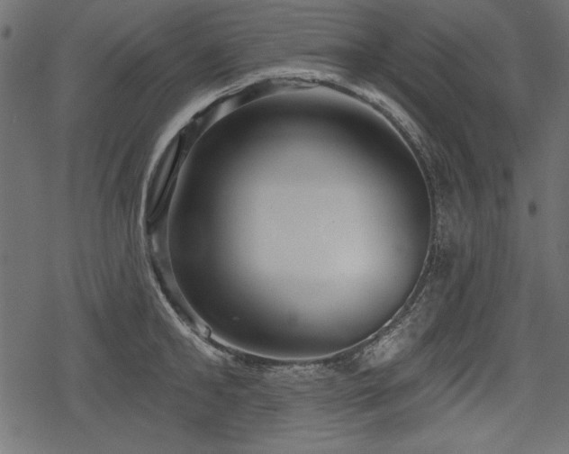 X0000078290902200611031228