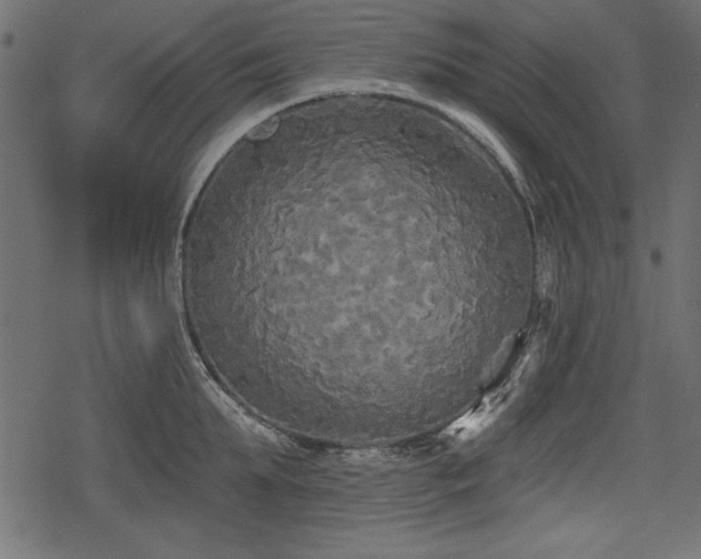 X0000078290903200611031228