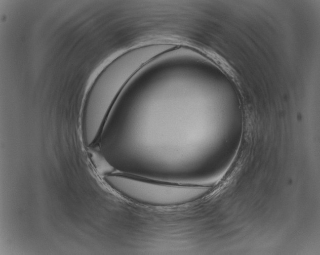 X0000078290904200611031228