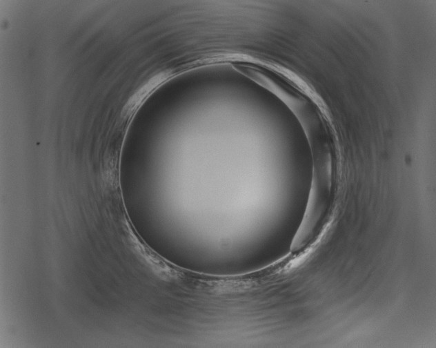 X0000078290905200611031228