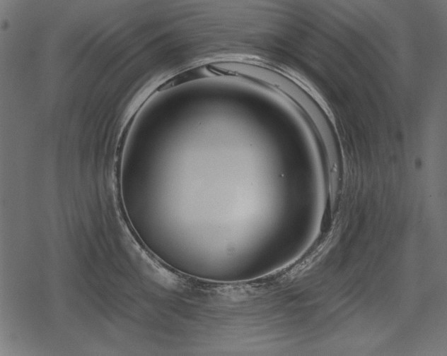 X0000078290906200611031228