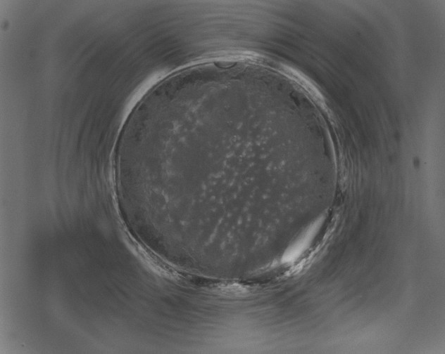 X0000078290907200611031228