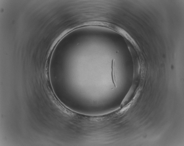 X0000078290908200611031228