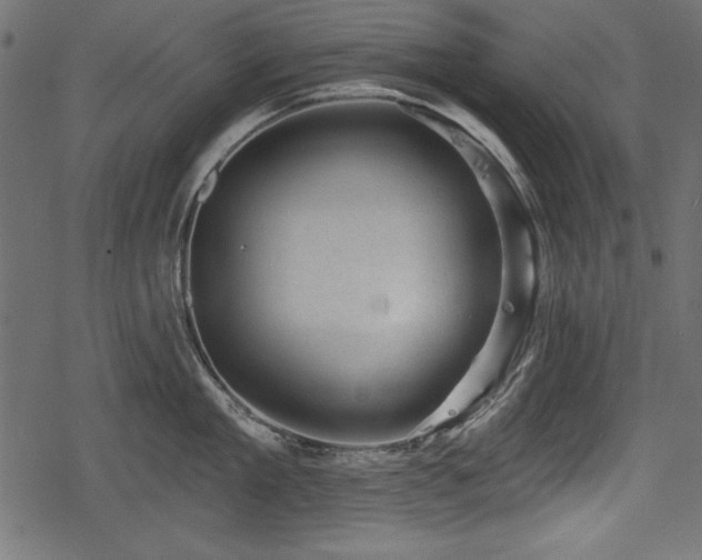 X0000078290909200611031228