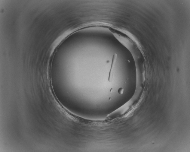 X0000078290910200611031228