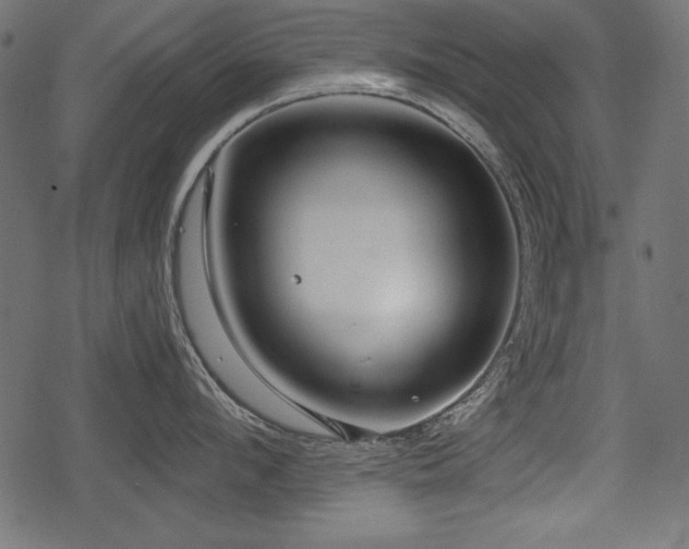 X0000078290912200611031228