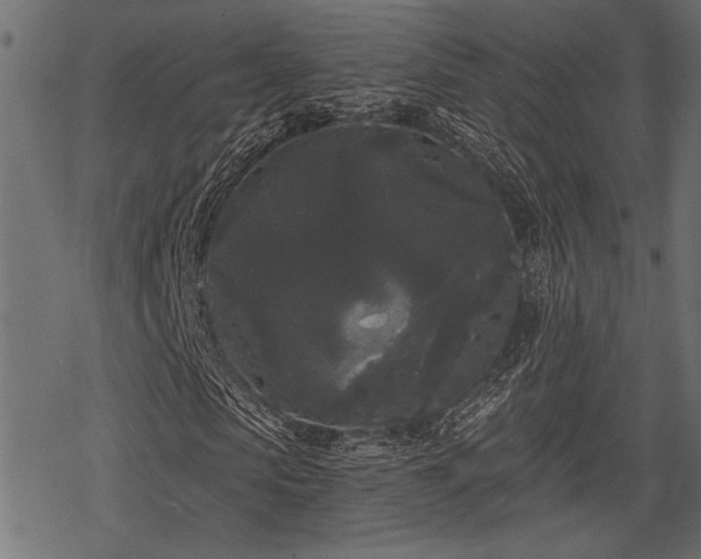 X0000078290913200611031227