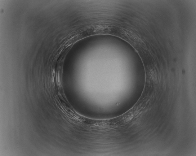 X0000078290914200611031228