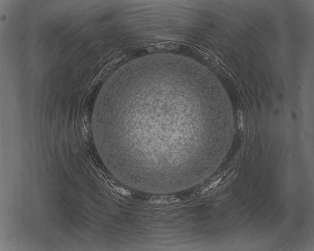 X0000078290915200611031228