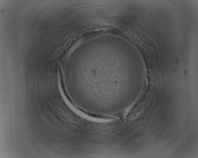 X0000078290916200611031228