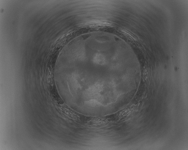 X0000078290917200611031228