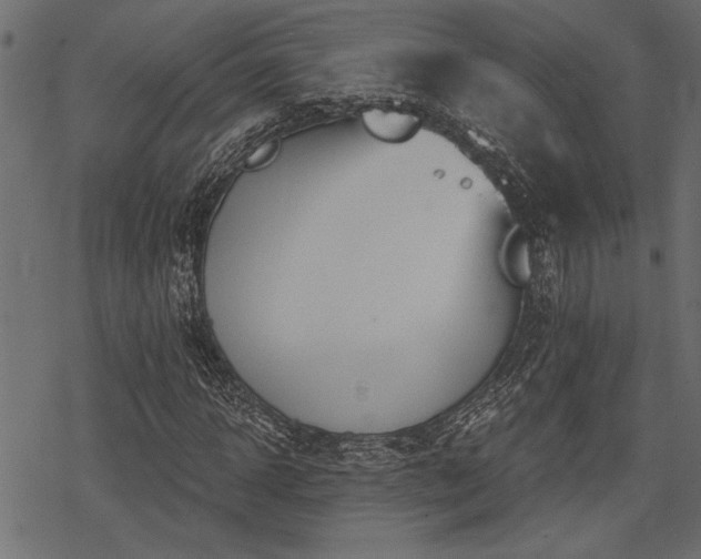 X0000078290918200611031228