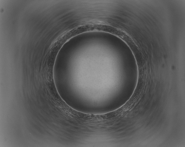 X0000078290919200611031228